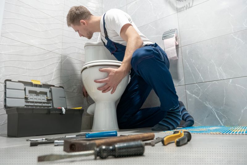 Commercial Toilet Repair