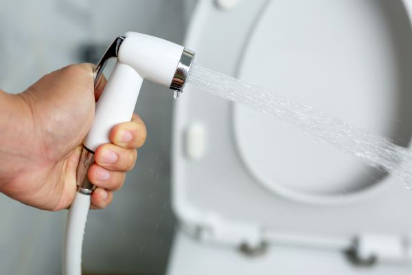 Bidet Installation in Danville