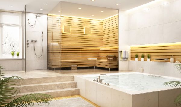 Steam Shower Repair in Danville