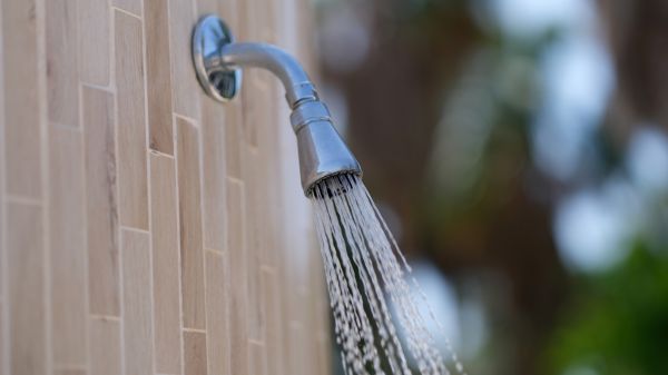 Showerhead Repair in Danville